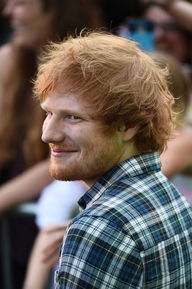 SamGrittner's tweet photo. Ed Sheeran always look like he just finished baking you a homemade apple pie and is waiting for you to tell him how it is https://t.co/ruHAVwAFHD
