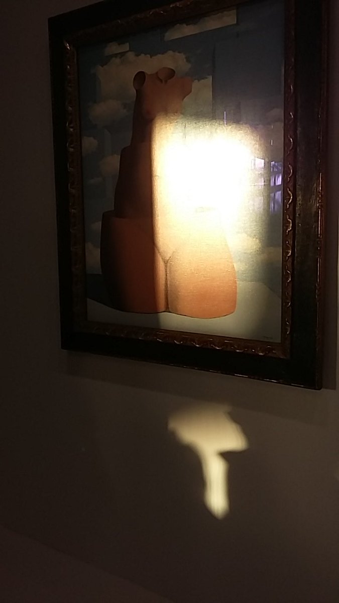 Corpus Delicti tweet media