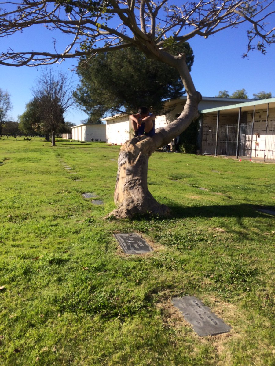 hacknation0's tweet image. Tree of depression