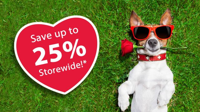 Rain Bird Store tweet media