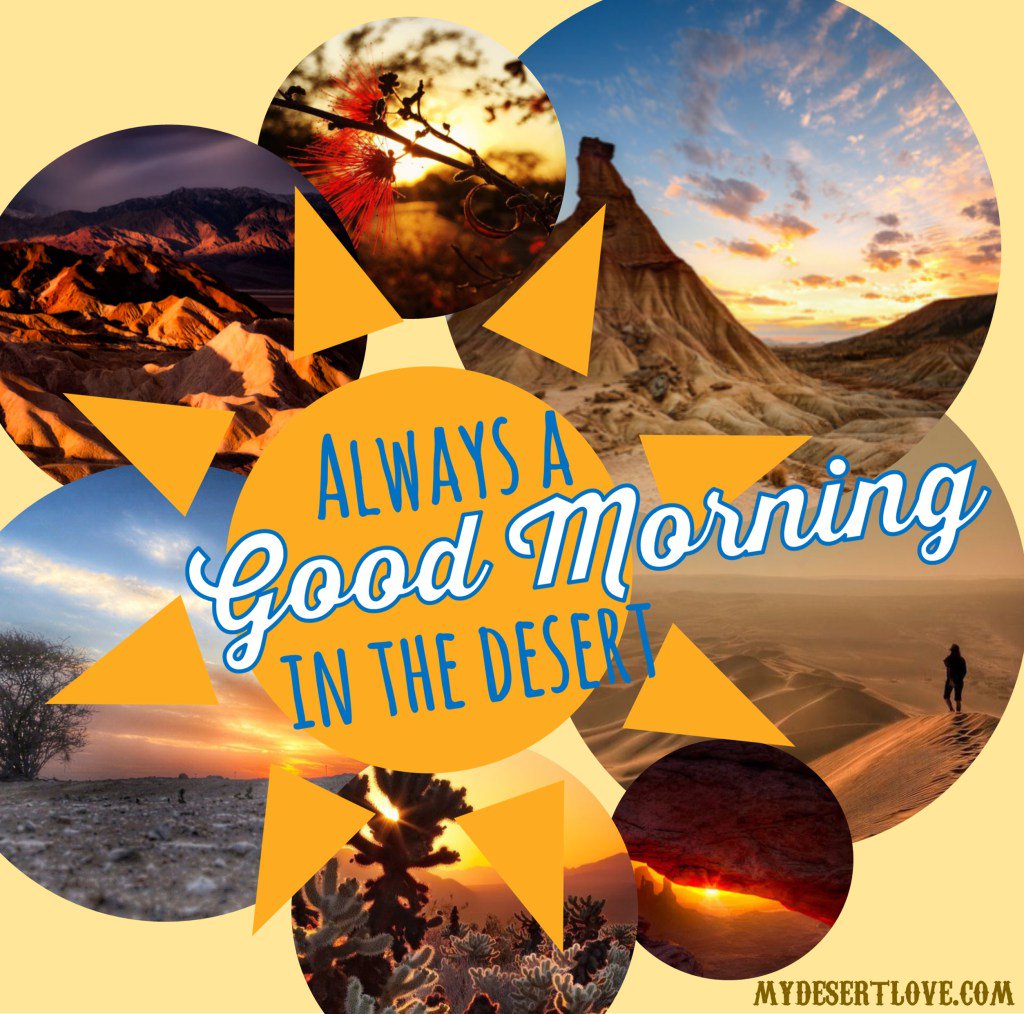 Epic Desert Mornings to Remember mydesertlove.com/2017/02/epic-d…