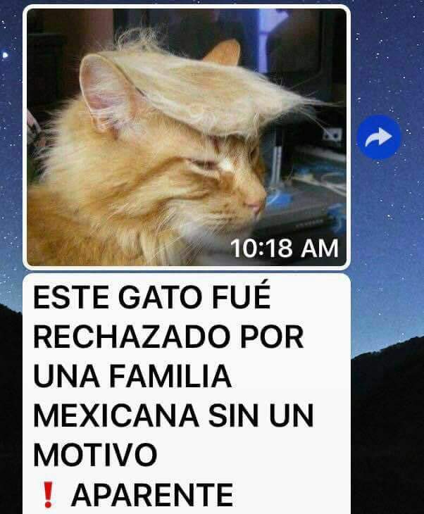EstibaBloguera's tweet photo. Por qué será... https://t.co/zL4FgCQqjT