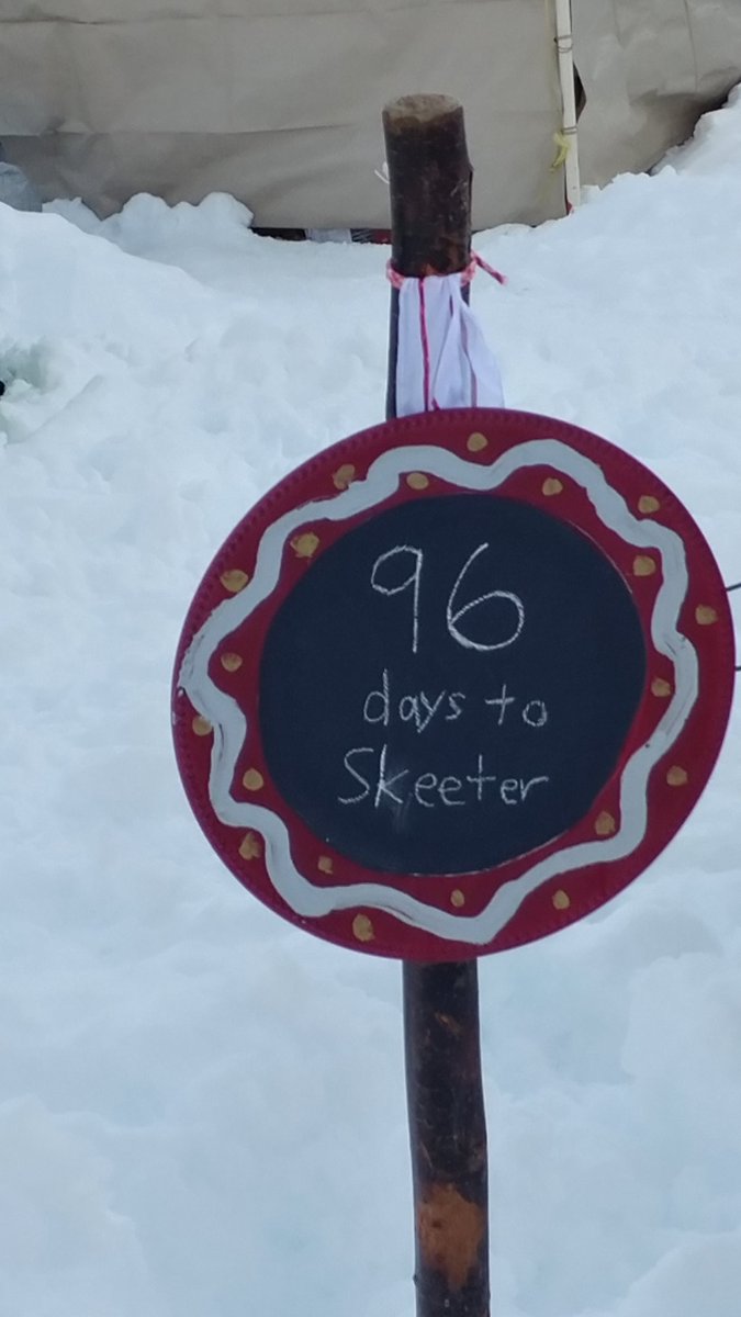 Spotted at a tent <a href="/Camp_Rovent/">Rovent</a> #TheMoreYouKnow #skeeter2017