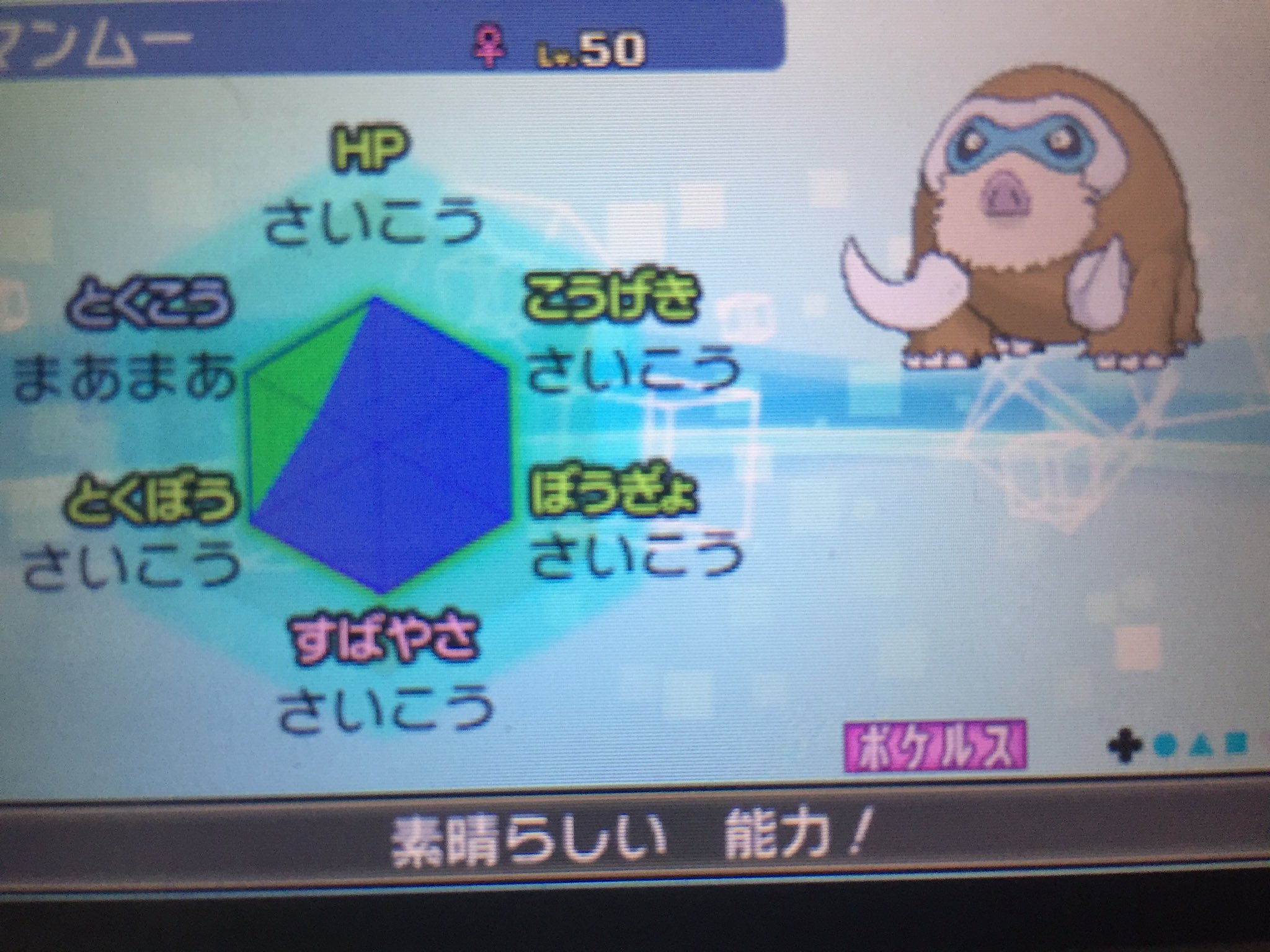 Rokosu 初めてポケモン配布します ٩ W و 育成済理想個体夢マンムー1名様に抽選で配布します 希望あれば努力値も0にします Rt フォローで応募完了です まぁ参加者多分全然いないので当選確率は高いはず 発表は2月16日の午後になります
