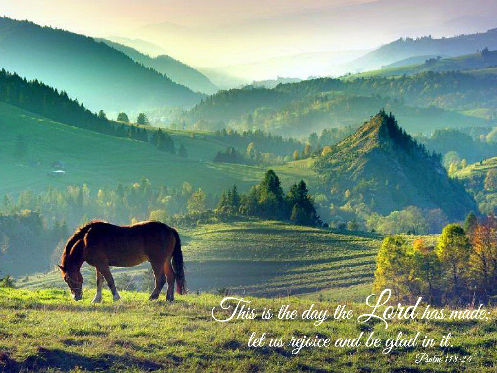 AnnetteSloman's tweet image. MKMMA Week #19 masterkeyannette.wordpress.com/2017/02/13/mkm…