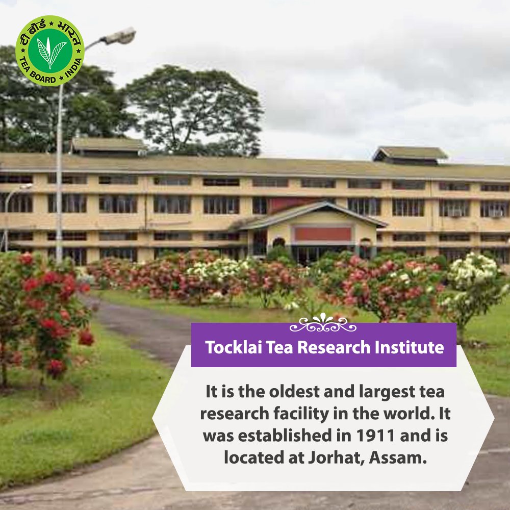 teaboardofindia's tweet photo. The formation of Tocklai Tea Research Institute expanded the horizon of tea research in India. https://t.co/ip8HeGjGNn