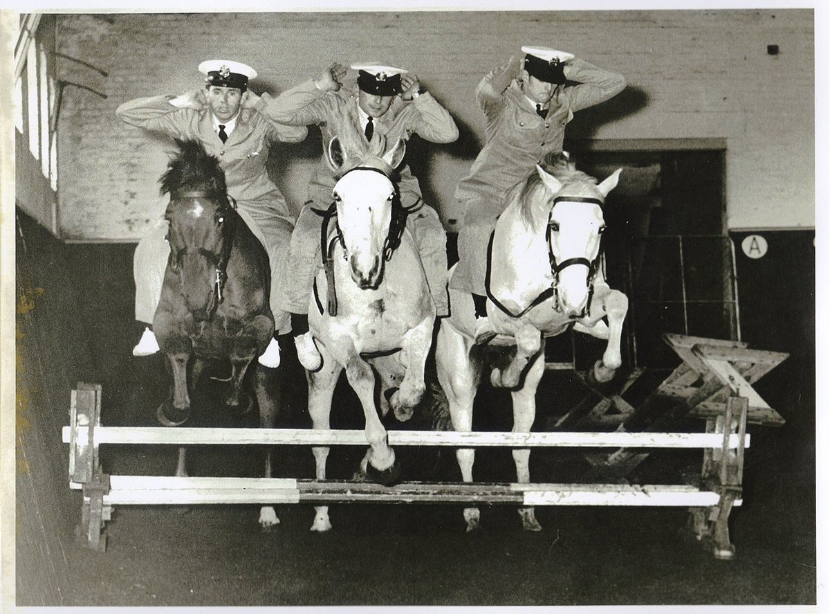 VicPoliceMuseum's tweet photo. Monday blues got you down? Maybe some #horsingaround will have you #jumpingforjoy again. #handsfreetechnology #mountedbranch #policehistory https://t.co/tpOpXMDxB1