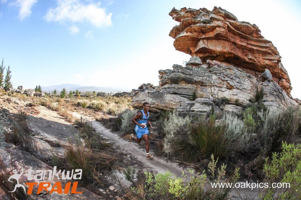 TankwaTrail's tweet photo. Are you ready for trails like these? The 2017 #TankwaTrail is now just days away! https://t.co/OlzTHvDpnp