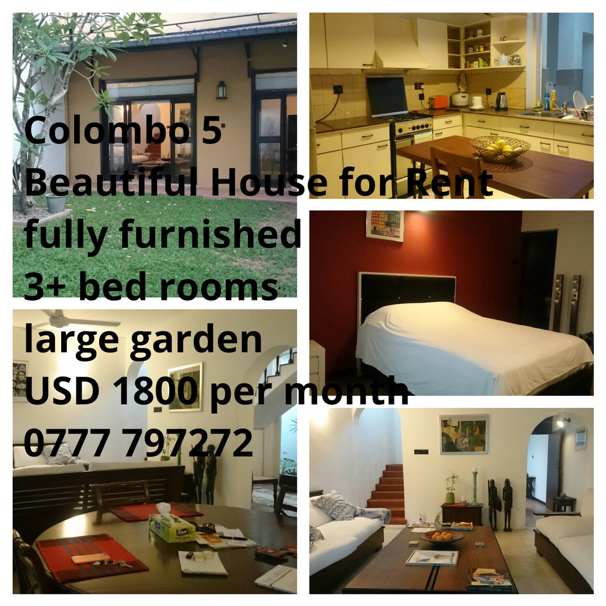 RaySmith100's tweet image. 