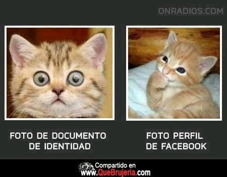 coder_yudit's tweet image. 