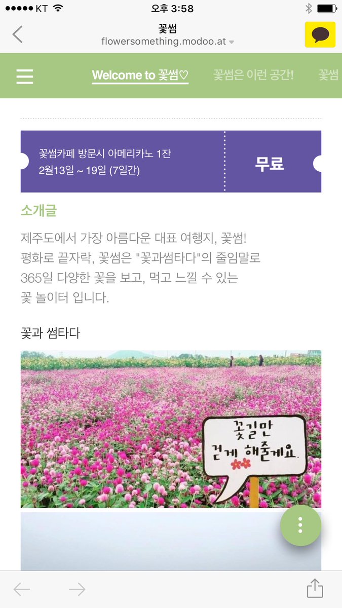 FlowerSomething's tweet image. 아직 오픈 전이지만 꽃썸카페에 오시면 아메리카노를 무료로 드립니다. 딱 일주일만(2월 13일-19일까지) 
커피맛에 대한 코멘트도 부탁합니다.

#꽃썸 #꽃썸카페 #꽃과썸타다 #동광육거리