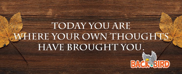 BackBirdGame's tweet image. Today you are ...
backbirdgame.com/wisdom-of-back…
#bb #backbird #backbirdgame #game #mobilegame #dialog #wisdom #development #ios #android