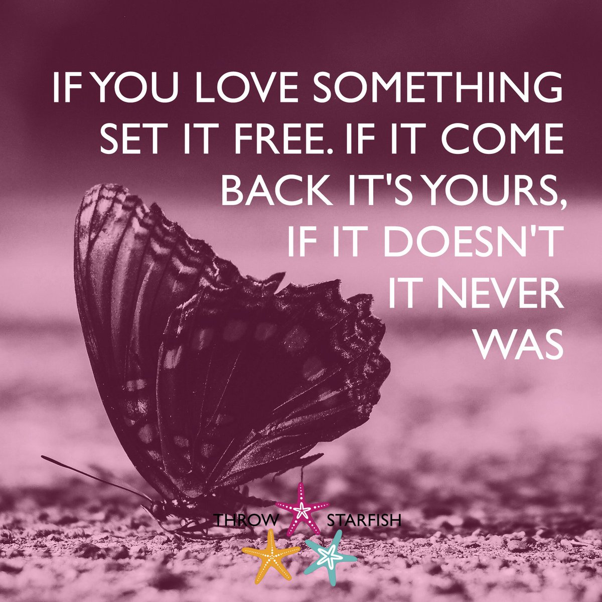 YOU LOVE SOMETHING SET IT FREE IF IT E BACK IT S YOURS IF IT DOESN T IT NEVER WAS ThrowStarfish Podcast Episodes Quote