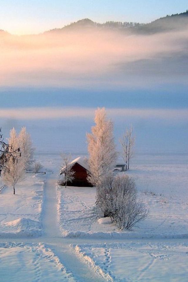 smart1800's tweet image. 