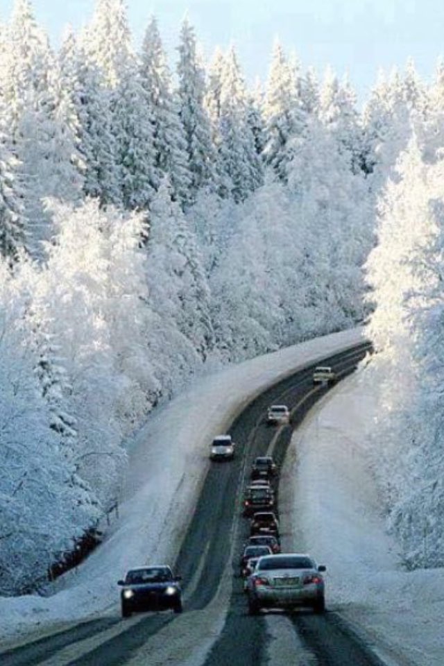 smart1800's tweet image. 