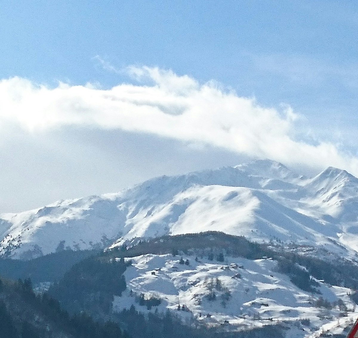 evasundin1's tweet photo. Il #Pazzola
#Disentis https://t.co/2kdPOm0Bxu