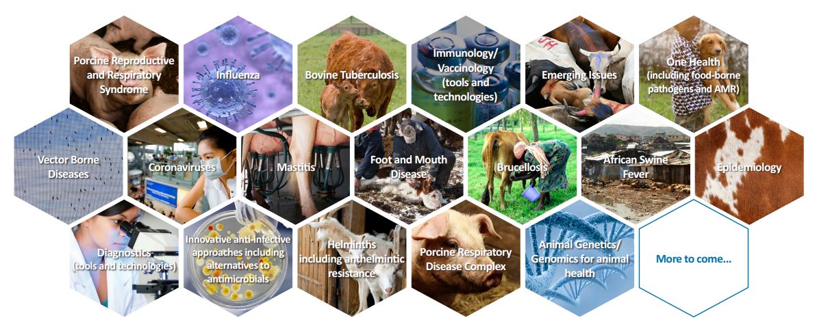 animalhealthEU's tweet photo. How do you decide where to prioritise #research for #AnimalHealth? #DISCONTOOLS & #STARIDAZ IRC help to prioritise: https://t.co/rux2RNLy7Z https://t.co/hbF7nwgmJf