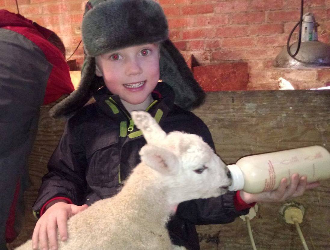 NFUtweets's tweet image. Thanks to Jodie, her son Elliott and this new born baby lamb for making us smile and giving us some #mondaymotivation