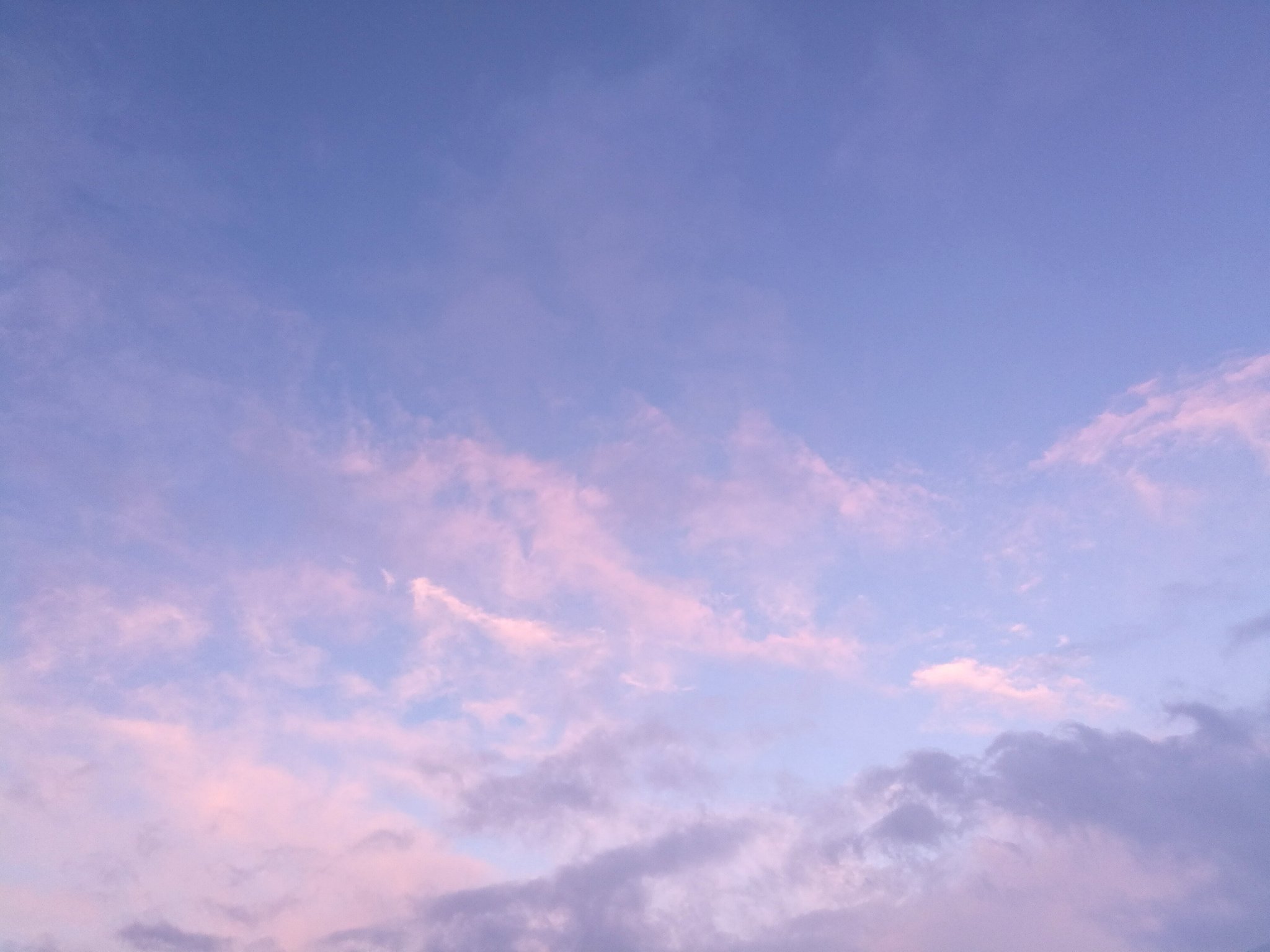 しぶざる イマソラ 17時頃 大仙市神宮寺 青空と桜を想わせる淡いピンクの夕焼け とても美しいです 今日は 灰色の空 真っ青な空 夕暮れ時の青とピンクの空 と色々楽しむ事ができました 北国日本海側の冬は灰色の空のイメージですが 色々な演出を楽しむ事