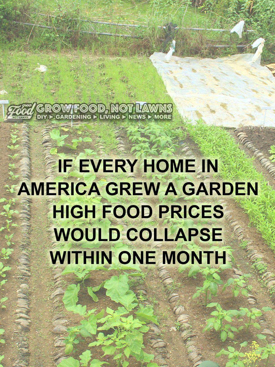 #NaturallyNoGmo #BuyOrganic #GrowOrganic #RoundUpFree #RealFood #Grow #NutrientRich #Food #BanMonsanto #MakeFoodGreatAgain