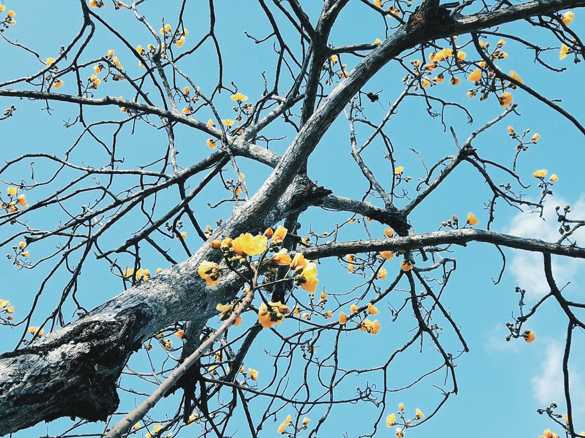 จะให้มันสวยต้อง สวยข้างในไม่ใช่ข้างนอก
#แคปชั่น #แคปชั่นเด็ด