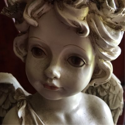 BoxJodybox's tweet image. #NewProfilePic