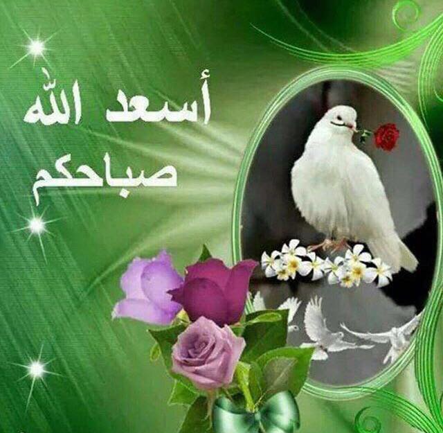 الكاتبة شيماء الكعبي 🌺 tweet media