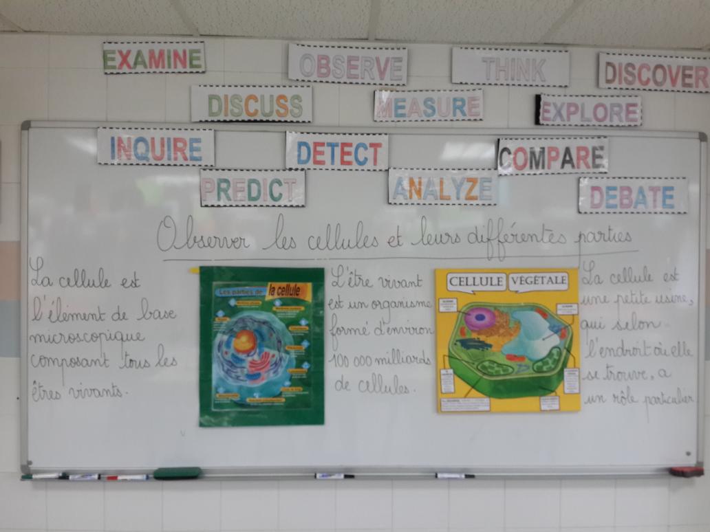 ZeinaZaatary's tweet photo. Exploiter lacellule #preuvedumondevivant #sesdiversités #microscopeoptique #apprenantsacteurs #sensés @Hhhsinfo @LinaMajzoub1 @dina_jradi https://t.co/vrxiBXxH3M
