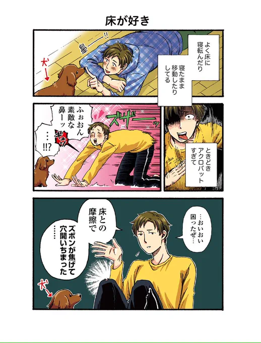 8話更新していただきました...!!
犬の鼻以外の兄貴が好きなもの描きました。

うちの兄貴の様子がおかしい。 第8話 床が好き | ダメ山角子 
 #pixivコミック 