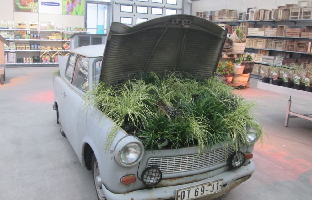 The Theme of this year's #TREx was "growing emotions".