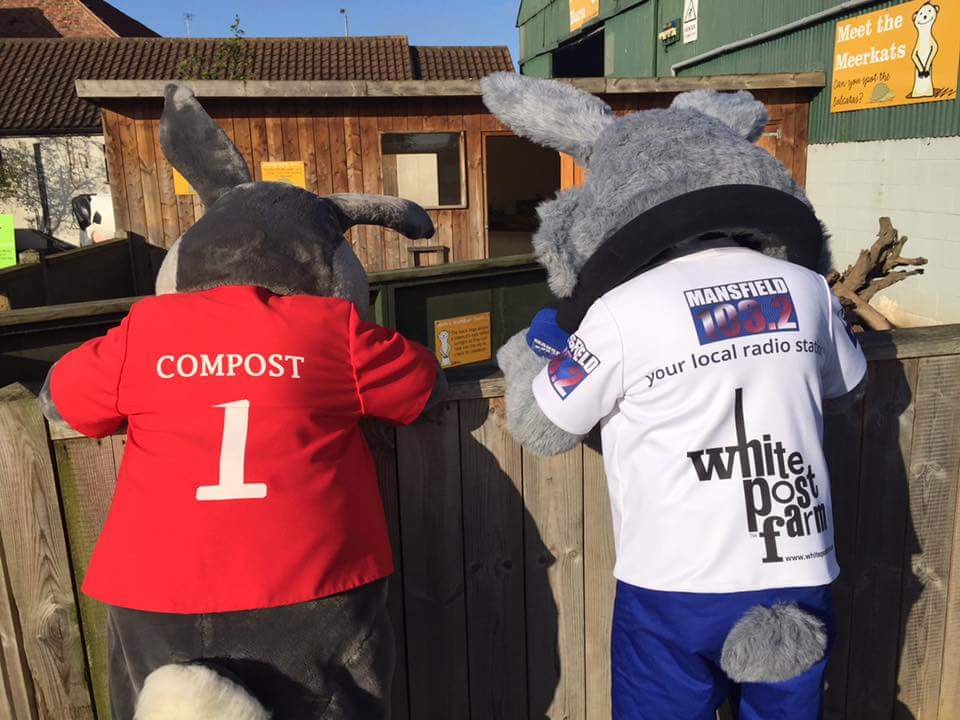 Warren103Rabbit's tweet photo. Visit @WhitePostFarm weird and wonderful week and you might see me hopping around with my mates compost & chip the chicken #allweatherfun https://t.co/PVLjTyPI6W