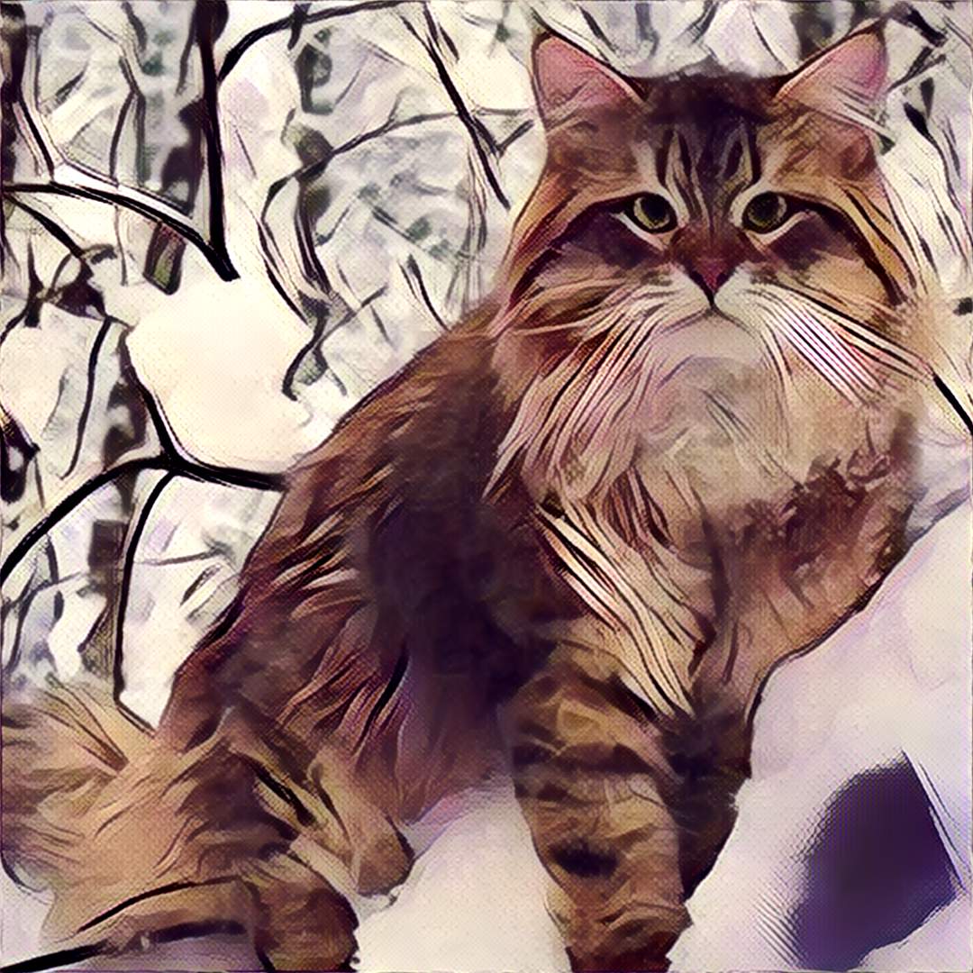 beautyvzor's tweet image. @Challamovies  @nawabito @yuki_perez @Jilliemary 
_/\ _..._ /\_
≧◉◡◉≦ @TeamCasting 
🐾🐾  #CatCasting 🔝TY👋