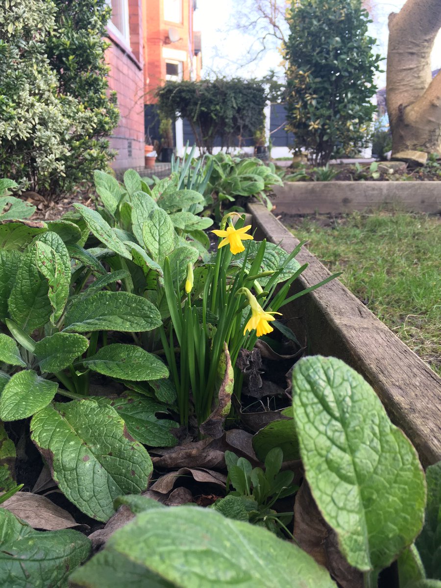 Bethylodders's tweet photo. Looks like spring. Feels like winter https://t.co/pCLoGDR96P