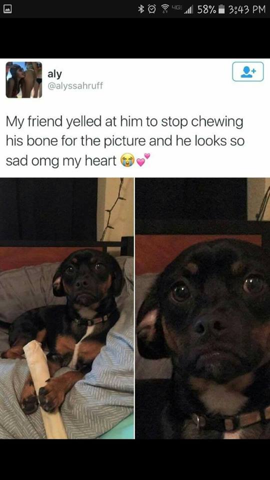 bretvents's tweet photo. Aww... https://t.co/h39EM3pVNh