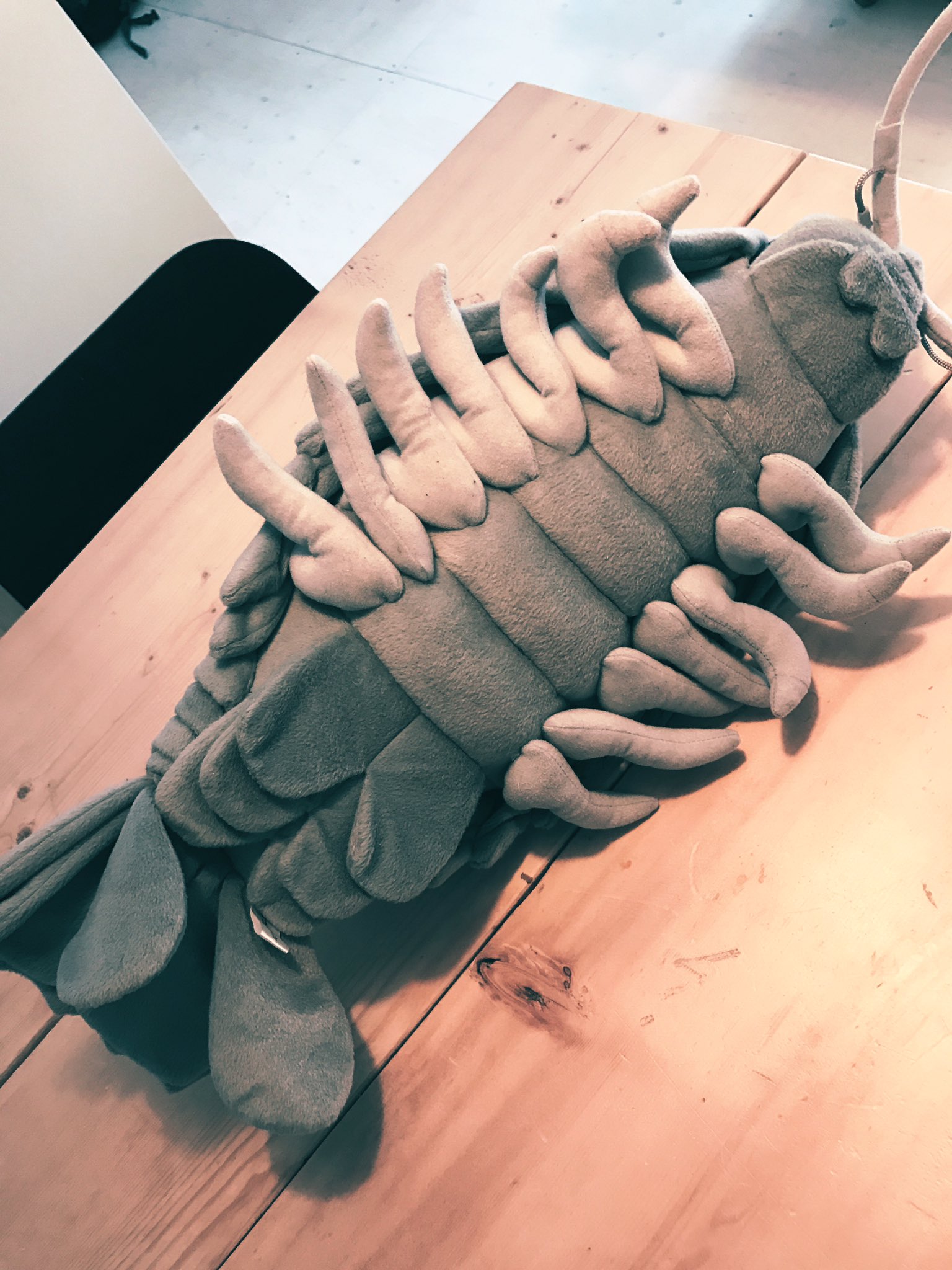 Plush isopod shop