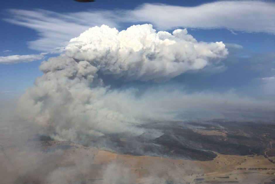 Image result for bushfire at dunedoo