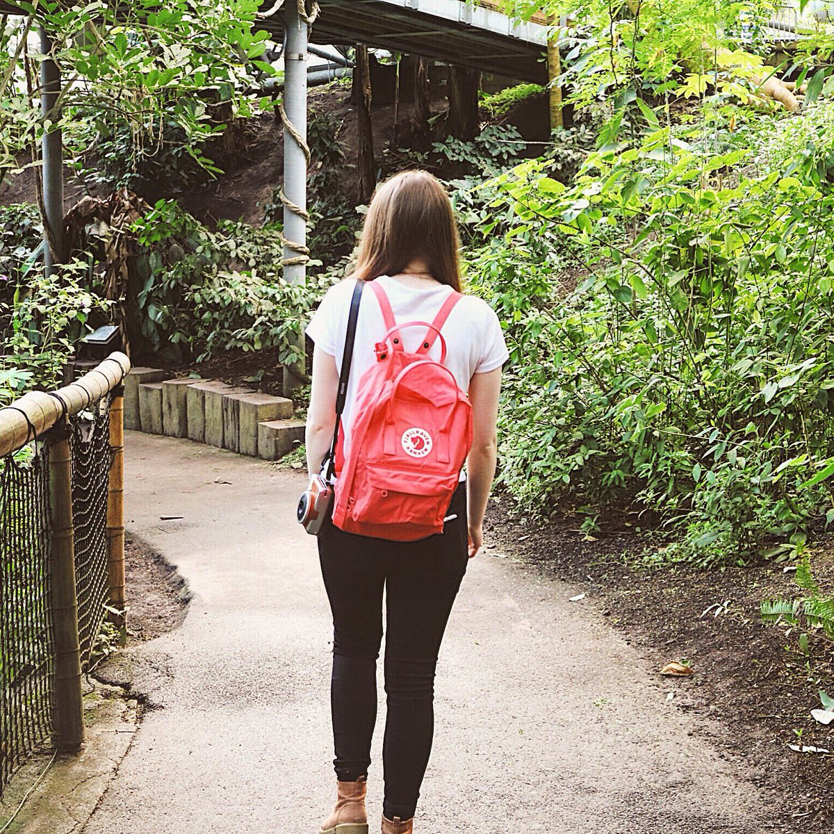sianwardc's tweet photo. Did you catch last week's post all about my trip to The @edenproject? 🌿https://t.co/YpFSyD6UH1 #cornwall @CornwallblogRT #tourism #travel https://t.co/J7dX3jc186