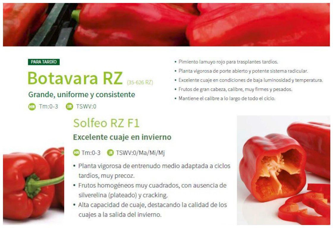 Toda esta semana te invitamos a un café en la alhóndiga <a href="/agrupaejido/">AGRUPAEJIDO</a> para hablarte de nuestros pimientos más productivos ¡Te esperamos!