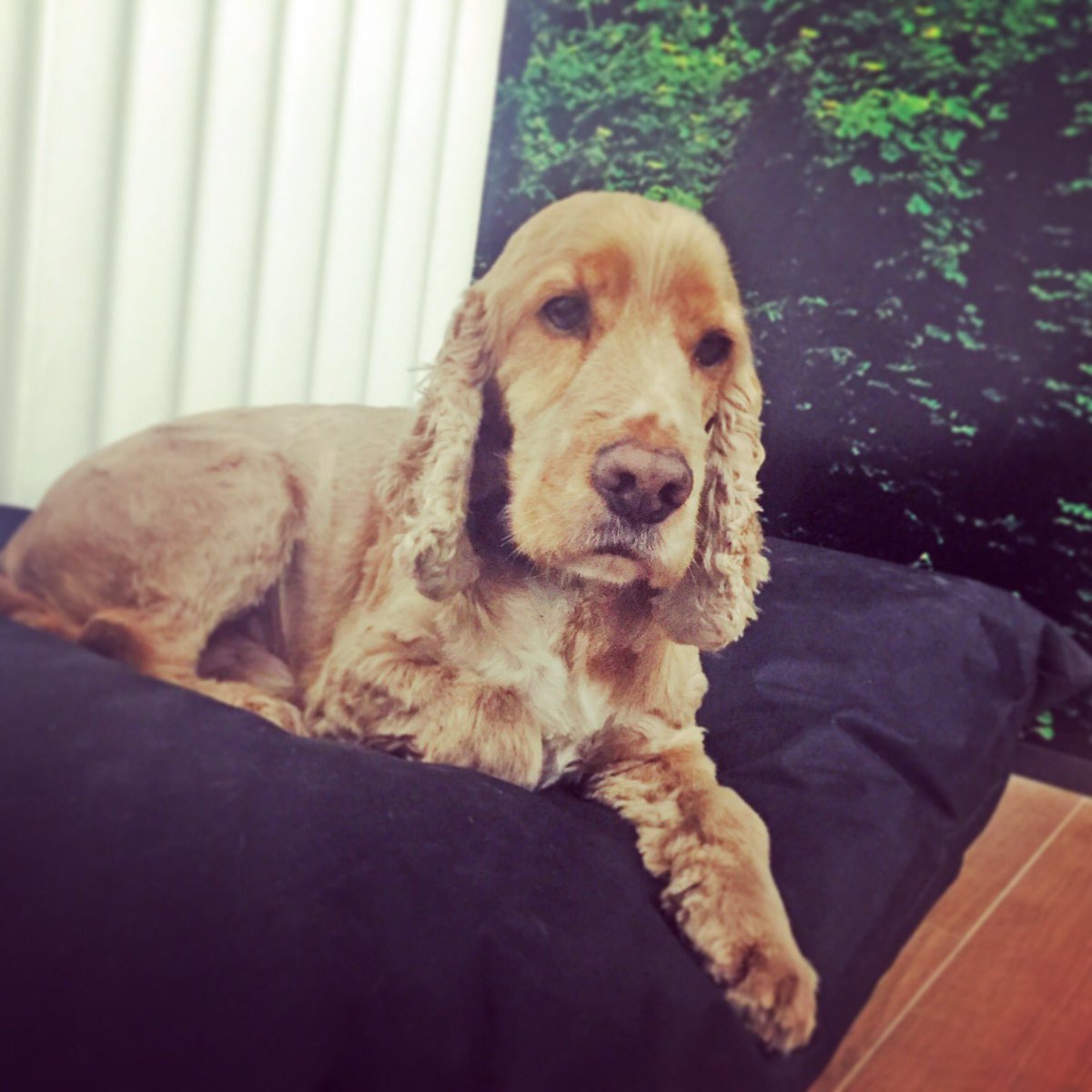 Digital Results tweet media