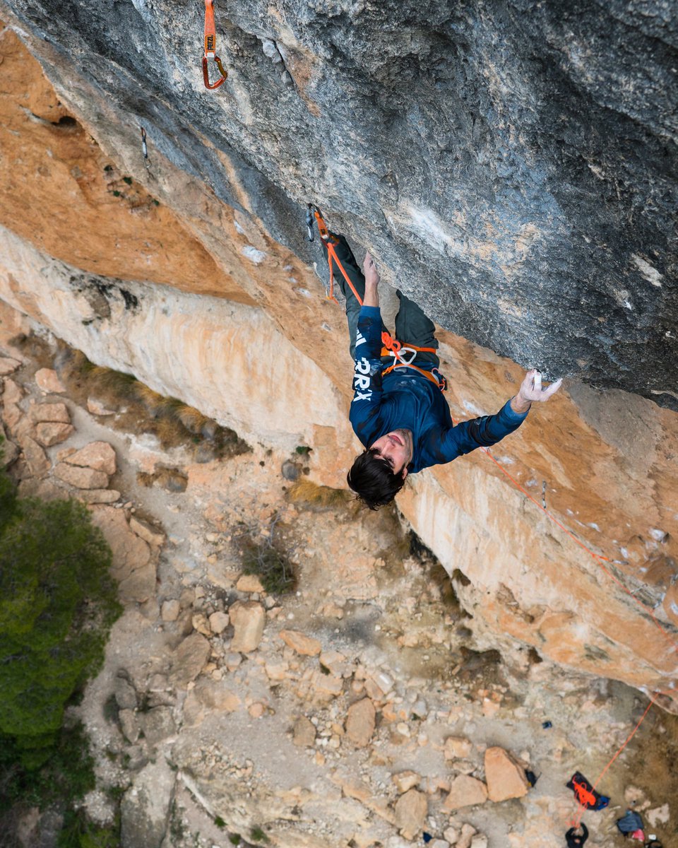 Jon Cardwell tweet media