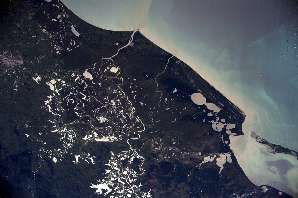 Thom_astro's tweet image. Zones humides sur les côtes du Mexique : mon zoom semble parfois jouer le rôle d’un microscope examinant une lame de verre… 🇲🇽