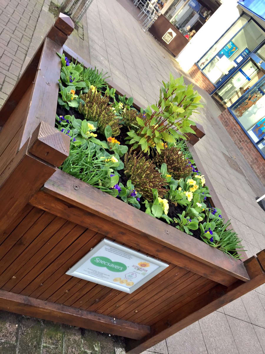 AltyinBloom's tweet image. Nice blue and yellow Spring colours from @Specsavers #Altrincham in their new community planter on George Street 👍😊