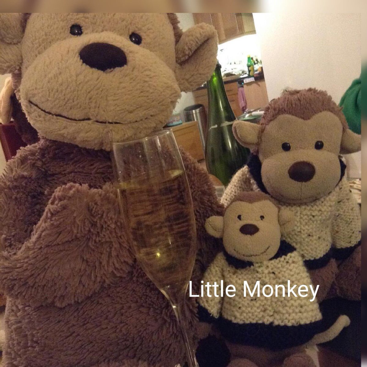 Beth_Colson's tweet photo. Please help find little monkey lost on 8.50 Waterloo-Salisbury train Monday morning. Last seen without jumper on at 9.35 in Basingstoke. https://t.co/I0jYGqFxFq
