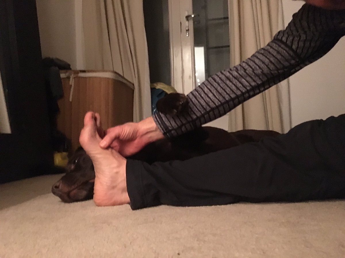 togokeynes's tweet photo. Always good to have a little help stretching post cycle from my best pal Hershie #greatsupport #stretching #postcycling #hershie https://t.co/z4vVoRufZf