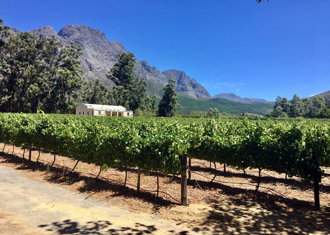 RichardHuxHar's tweet image. Boutique wine farm for sale with @knightfrankSA  - please retweet bit.ly/2jXSXuH @KFNotting_Hill @KFBishStor @Hampstead_NW3