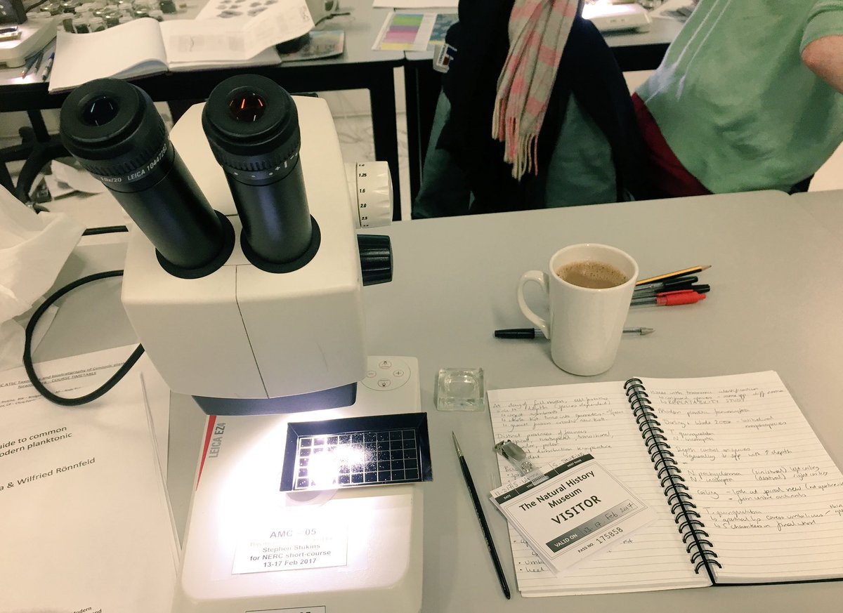 SavWorne's tweet photo. Excited for the start of Cenozoic foram taxonomy and stratigraphy #NERCATSC at the @NHM_London with @NHM_Micropalaeo https://t.co/liRzeOSSGw