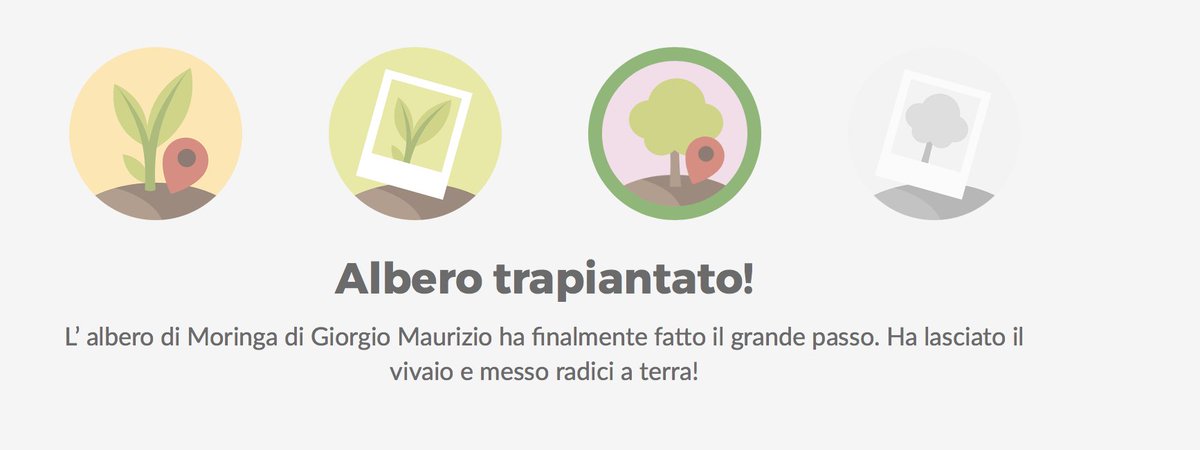 giogiodima's tweet image. Bellissimo @Treedom