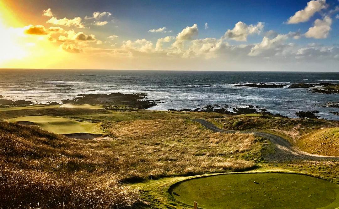 Direct Golf tweet media