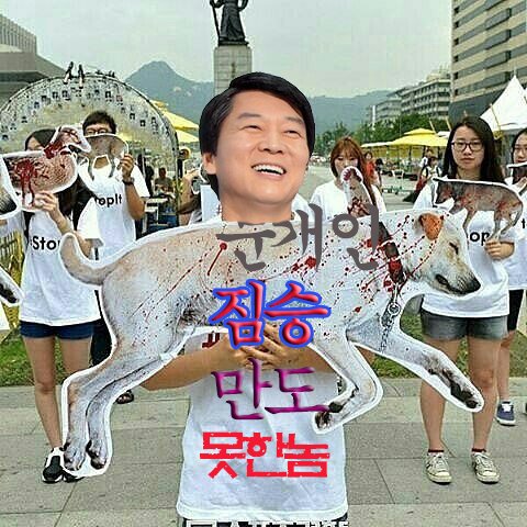 짐승 만도 못한놈