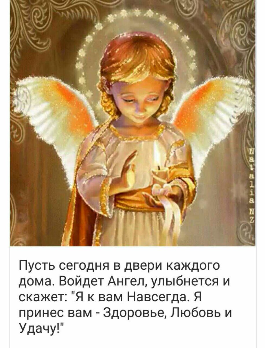 Алексей (@ag9379624646) on Twitter photo 